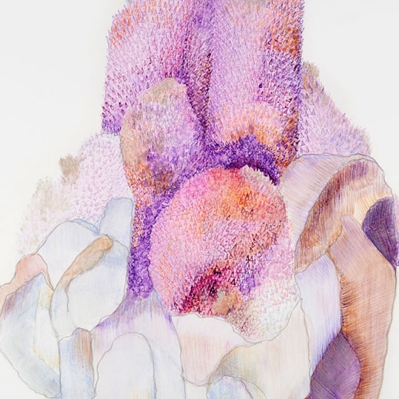 http://c011cd8d-59f8-4246-a1f1-e8aff7b33bf1.mirunadragan.com/files/gimgs/th-23_Erratics-Draw3-detail-web_v2.jpg